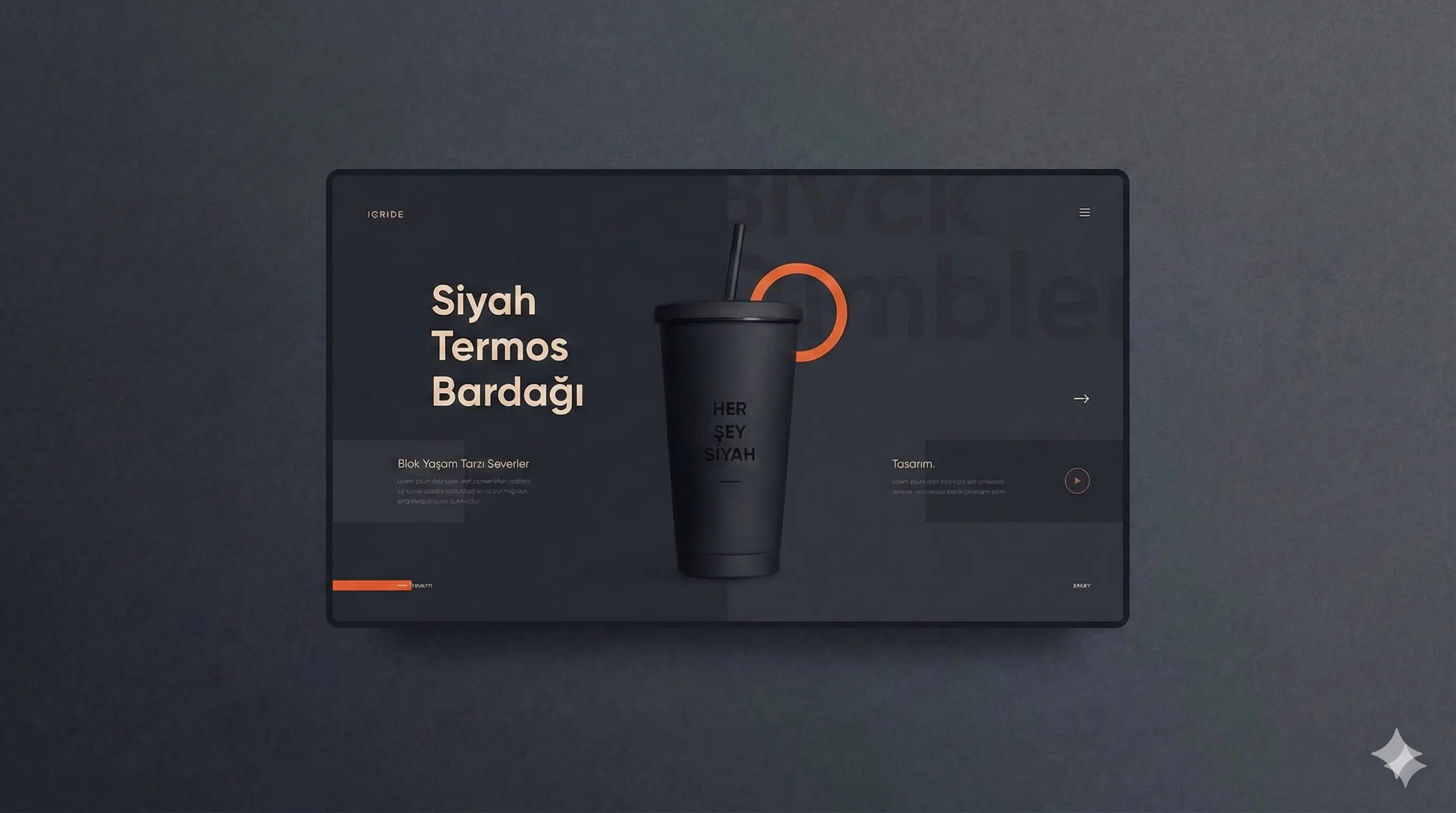 WEB DESIGN AND CUSTOM SOFTWARE